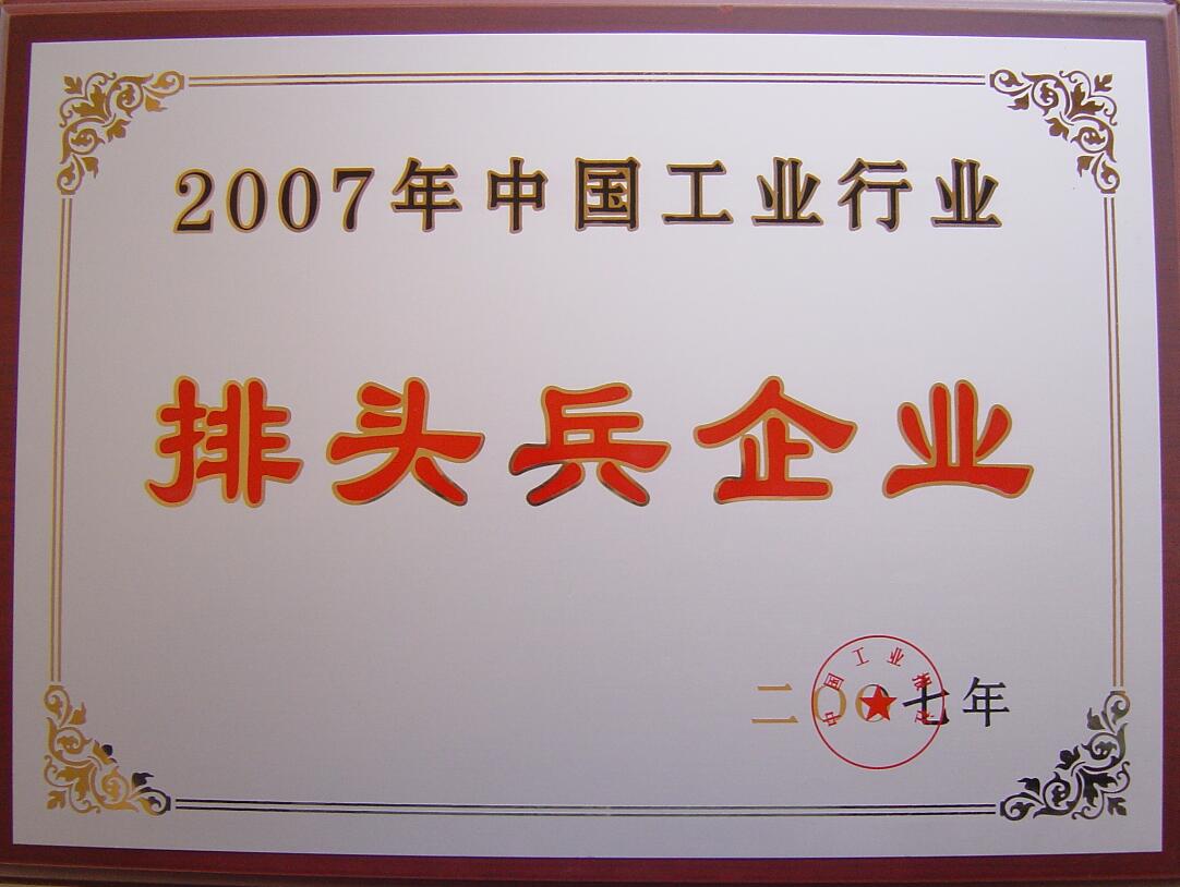 2007年中国工业行业排头兵企业